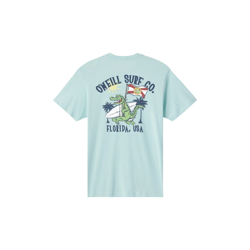 O'Neill - Crockett Tees - Mens-Tees-O'Neill-Pastel Turquoise-S-Spunkys Surf Shop LLC