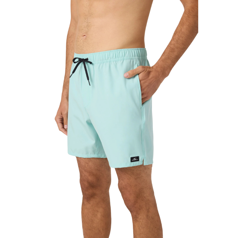 O'Neill - Lennox Hermosa Solid 17" Volleys - Trunks - Mens-Swim Bottoms-O'Neill-Pastel Turquoise-S-Spunkys Surf Shop LLC