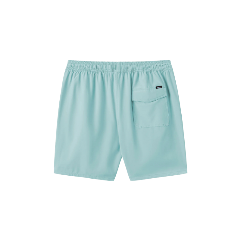 O'Neill - Lennox Hermosa Solid 17" Volleys - Trunks - Mens-Swim Bottoms-O'Neill-Pastel Turquoise-S-Spunkys Surf Shop LLC