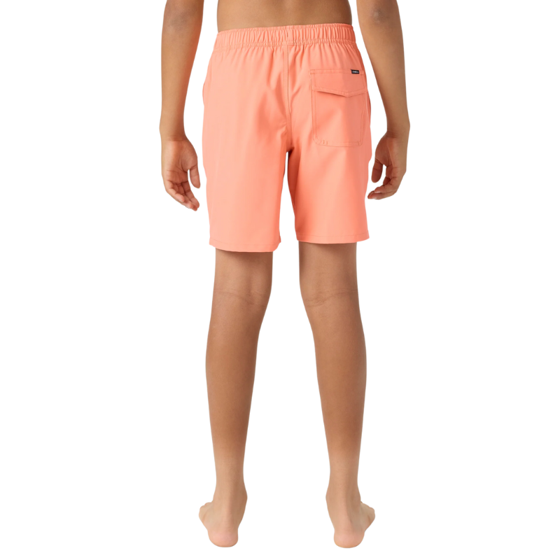 O'Neill - Lennox Hermosa Solid Volley 16' - Swim Trunks- Mens-Swim Bottoms-O'Neill-S-Peach Echo-Spunkys Surf Shop LLC