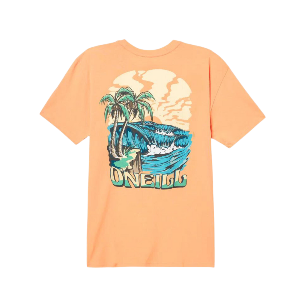 O'neill - Stacked - T-Shirts - Mens